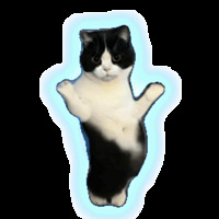 ��39ֵ����������������ڿ�5��װ43.9������˿���ڶ�����˪196