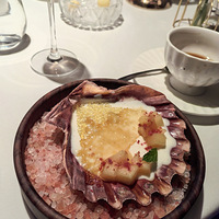 Ư�����ܵ����ԡ�����Ư�������Գԡ�����������Ҳ����һ����ĩ��