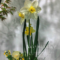 ������Ȧ���������������ˣ�̫̫̫�ÿ���