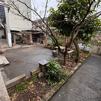 86�꣬�У�Ѱһ��Ե��