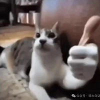 ������Գ�ʲô�ز����������б�ɧ�ŵ�������Ī����������