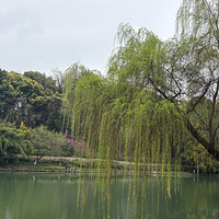 ���������ǳ�����