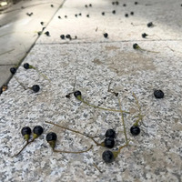 ��Ҫ�ȣ���Ҫ�����������������֣������ͷҲ��......