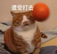 ������������ǡ��衱������û�������ְ����޷�������¯��������