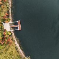 ��´Ϫ�뵺˳���ӷ�