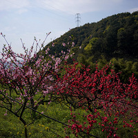 �����һ�ӳ���