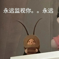 ��316ֵ����׿ʫ�ᵥЬ����ѡ69�����ƴ��ص汳��19