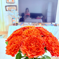 ���ף���Ϊ�˽�飬�Ƕ��㸺��ӵ��һ����ů�а��ļ�