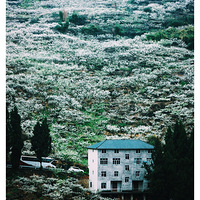 ����3��ͳ��ӡ�п�ѩ��