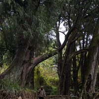 ��ץ��ʱ������һ������-���Ź�-�����ͽ������