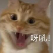 ��������С�����ҵ��öࡰ���ؿ��������������Ҳ���������