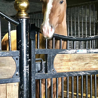 һ����������װһ��8���½�12��Ĺ��԰�