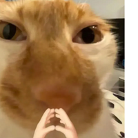 ����4����Ŷ�û��ҥ�������90��95�������ǲ��������°���