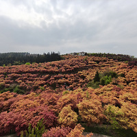 ��ľ��������ʱ