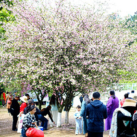 ��ĩ����ɽƺ������������