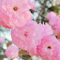 ���Ҹ��໥��ϧ����