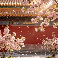 ����������Ӫ��5��4��-���山��̽�ʹ��������ǡ����λ���