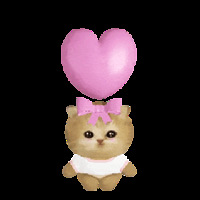 ��324ֵ�����ȷ�����ŮЬ�ϼ�49�������廨����2��28