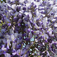 �����ֱͨ���������������ܿ��ˣ������ˣ�������ѺȰӰӲ�