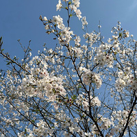 ԰��԰ӣ����ͦ�ÿ���