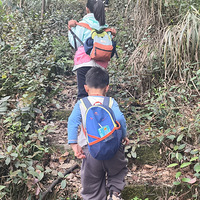 ���������������ɽ