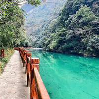 ���Ŵ������꿨ȥ���Σ�3���ϴ����ɽ