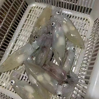 ����С�ܺó�