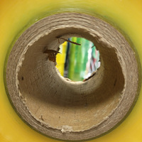 ����ȥ��ֽо�ĸ�Ч����