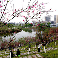 �������վ�ԱߵĹ�԰����Ȼ�һ���ʢ����