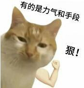 �������֡��񡱳�Ȧ��ȫ���˿�ʼ��������������