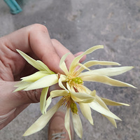 �ٻ�Ҳһ�����㣬��ú�