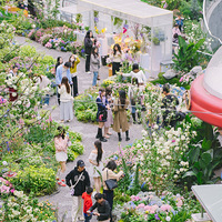 �Ѵ���----��������ֹ�俴���ջ���