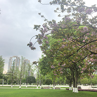 ���������һ�������⡯��