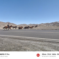 ���ּ�¼�����е�����