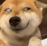 �й����ھ�����������ֱ�츳��������ʼ�����ھ�����Ǯ��Ǯ��