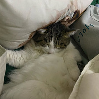 ������ף��ǳ����ţ�