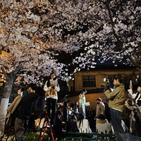 ���Ǵ�ɫ ��ӣ����Ѥ��