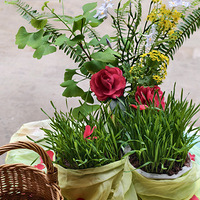 ��Ȼ�����������������������ô��޵��С��Ӹ��ŵ��ջ���������