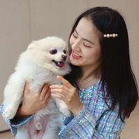 ���ۺ����һ�������Ȱ������С���������ס�