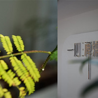 һ�����崺����ױ��   ��ΧҰ��ü����1390  ���Ʒ���ü 1380