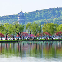 2026�괺�ٺ��ݡ�������