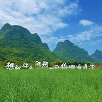 ɽҰ�䵾����