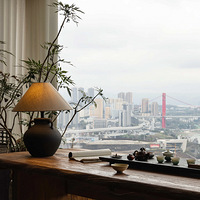 ������ƽ����Ķ�������������ӹ���ʫ