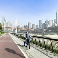 ���������������ɰ��˶��ڴ�������Ͷ���