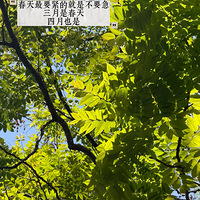 ����ã������ѡ�