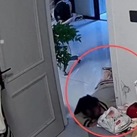 �����ε��ɷ������Թۺ���������飬����4���ޣ���Ů����������