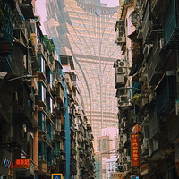 ���ų�˳һ��·�ߣ�����·���հ�