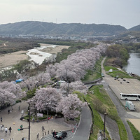 ����������������ӣʤ�أ�������ʷ��