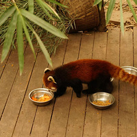 ��û������̸��������