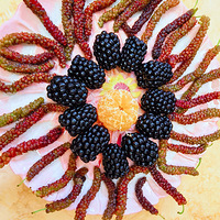 �����´�½������޳�һ����ɣ��̫�Ե��ˣ���ȱ���ζ���޵зḻ